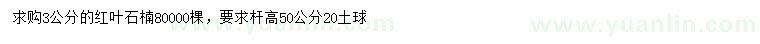 求購3公分紅葉石楠