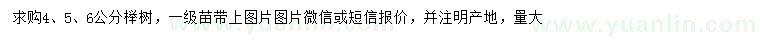 求購4、5、6公分櫸樹