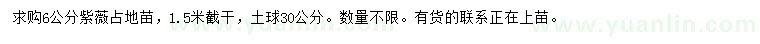 求購(gòu)6公分紫薇