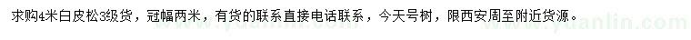 求購4米白皮松