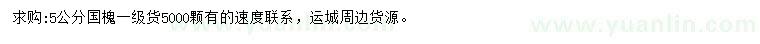 求購5公分國槐