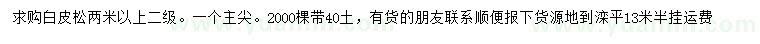 求購2米以上白皮松