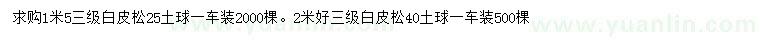 求購1.5、2米白皮松