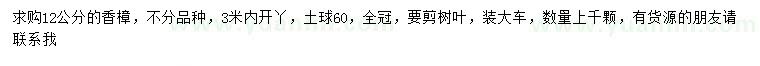 求購12公分香樟