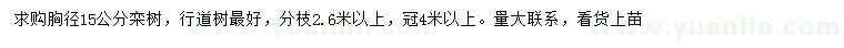 求購胸徑15公分欒樹