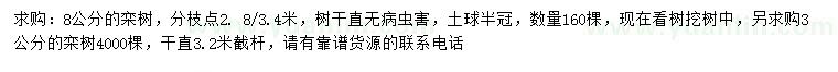 求購3、8公分欒樹