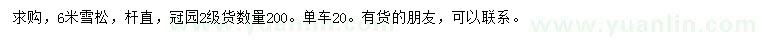 求購6米雪松