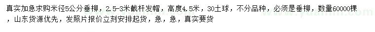 求購米徑5公分垂柳
