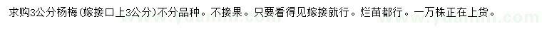求購3公分楊梅
