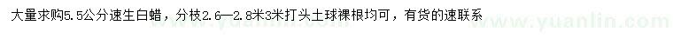 求購(gòu)5.5公分速生白蠟