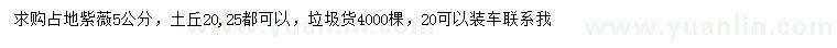 求購5公分占地紫薇