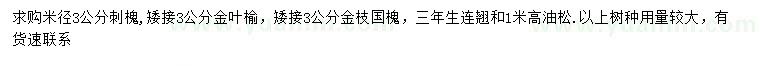 求購刺槐、金葉榆、金枝國槐等