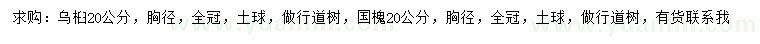 求購胸徑20公分烏桕、國槐