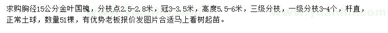 求購胸徑15公分金葉國槐