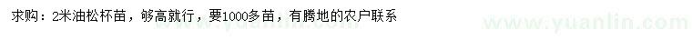 求購2米油松