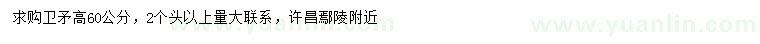 求購高60公分衛(wèi)矛