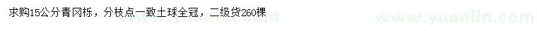 求購15公分青岡櫟