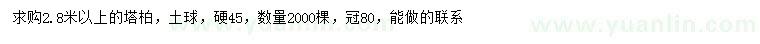 求購2.8米以上塔柏