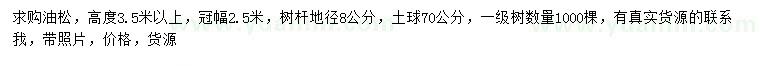 求購高3.5米以上油松