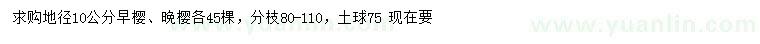 求購地徑10公分早櫻、晚櫻