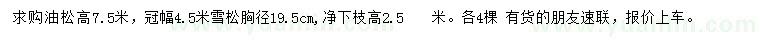 求購高7.5米油松、胸徑19.5公分雪松
