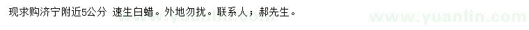 求購5公分速生白蠟