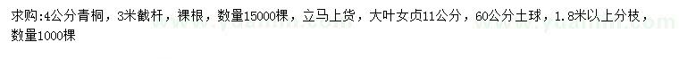 求購(gòu)4公分青桐、11公分大葉女貞