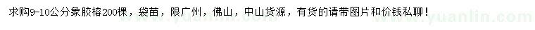 求購(gòu)9-10公分象膠榕