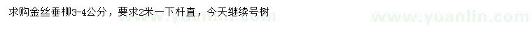 求購3-4公分金絲垂柳