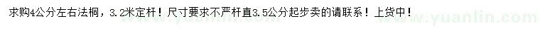 求購4公分左右法桐