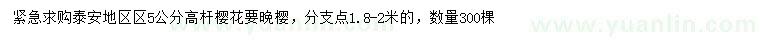 求購(gòu)5公分高桿櫻花