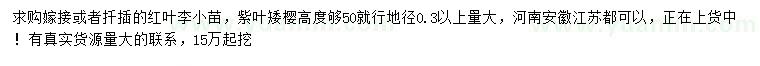 求購紅葉李小苗、地徑0.3公分以上紫葉矮櫻