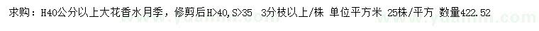 求購高40公分以上大花香水月季