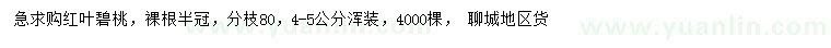 求購4-5公分紅葉碧桃