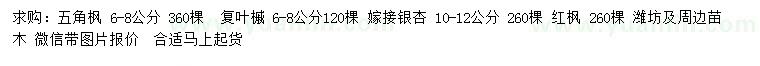 求購(gòu)五角楓、復(fù)葉槭、嫁接銀杏等