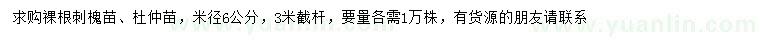 求購米徑6公分刺槐苗