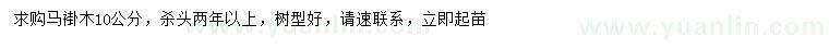 求購10公分馬褂木