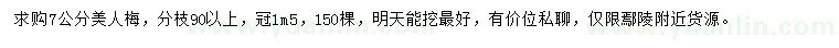 求購7公分美人梅