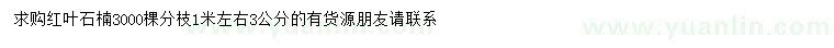 求購(gòu)3公分紅葉石楠