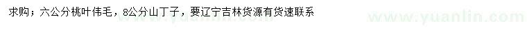 求購6公分桃葉偉毛、8公分山丁子