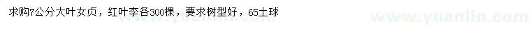 求購7公分大葉女貞、紅葉李