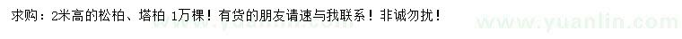 求購高2米松柏、塔柏