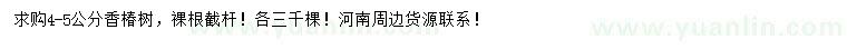 求購4、5公分香椿