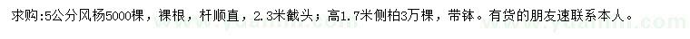 求購5公分風楊、高1.7米側(cè)柏