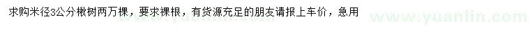 求購米徑3公分楸樹