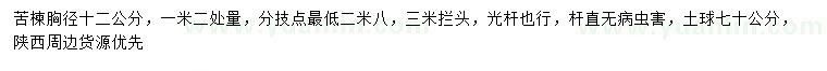 求購(gòu)1.2米量胸徑12公分苦楝