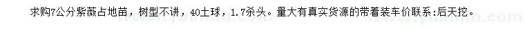 求購(gòu)7公分紫薇占地苗