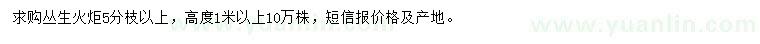 求購高1米以上叢生火炬