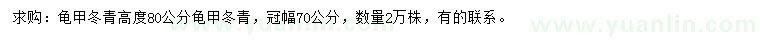 求購(gòu)高80公分龜甲冬青