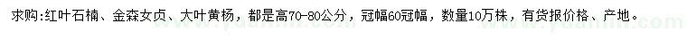 求購紅葉石楠、金森女貞 、大葉黃楊